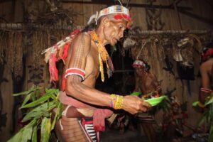 photo - Mentawai Travel - 10 photo - Mentawai Travel - 10