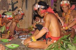 photo - Mentawai Travel - 14 photo - Mentawai Travel - 14