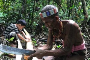 photo - Mentawai Travel - 15 photo - Mentawai Travel - 15