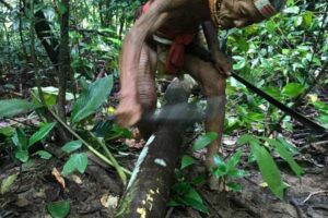 photo - Mentawai Travel - 25 photo - Mentawai Travel - 25