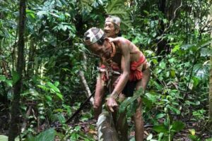 photo - Mentawai Travel - 28 photo - Mentawai Travel - 28