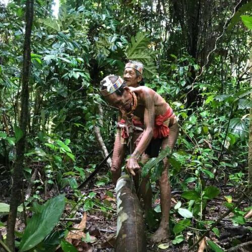 photo - Mentawai Travel - 28