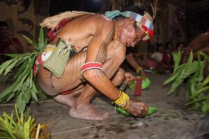 photo - Mentawai Travel - 30 photo - Mentawai Travel - 30