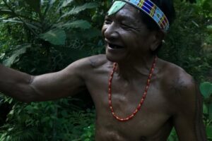photo - Mentawai Travel - 33 photo - Mentawai Travel - 33