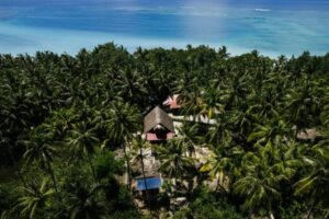 photo - Mentawai Travel - 63 photo - Mentawai Travel - 63